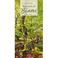 Weingarten Wunderwelt der Bäume Kalender 2025