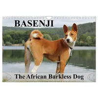 Calvendo Basenji the African Barkless Dog (Wall Calendar 2025