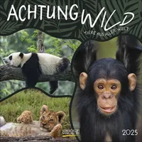 Korsch Verlag Achtung wild - Tiere aus aller Welt
