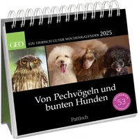 Pattloch Geschenkbuch Postkartenkalender 2025: Von Pechvögeln und bunten Hunden: