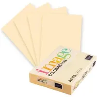 IMAGE Kopierpapier Image Coloraction Dune 120g/qm, A4 VE=250 Blatt