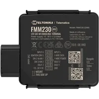 Teltonika FMM230, Router