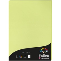 Clairefontaine 44205C Packung mit 50 Karten Pollen 120g, DIN