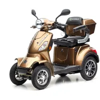 ECONELO J4000 - Bronze - Blei Akku 25 km/h