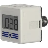 Riegler Digital-Manometer mit Hintergrundbeleuchtung, 0-10 bar, R 1/4 AG