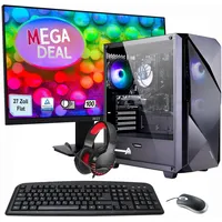 Hyrican MegaDeal Gaming-PC Striker SET2487 7374 + MSI PRO