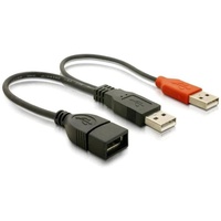 DeLock USB 2.0 Y-Anschlußkabel 2x Stecker A an Buchse