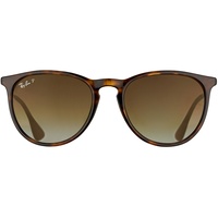 Ray Ban Erika RB4171 710/T5 54-18 tortoise-gunmetal/brown gradient