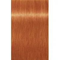 Schwarzkopf Professional Igora Royal 0-77 kupfer Konzentrat 60 ml